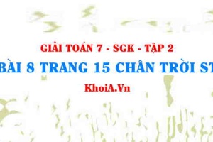 Bài 8 trang 15 Toán 7 Chân trời sáng tạo Tập 2